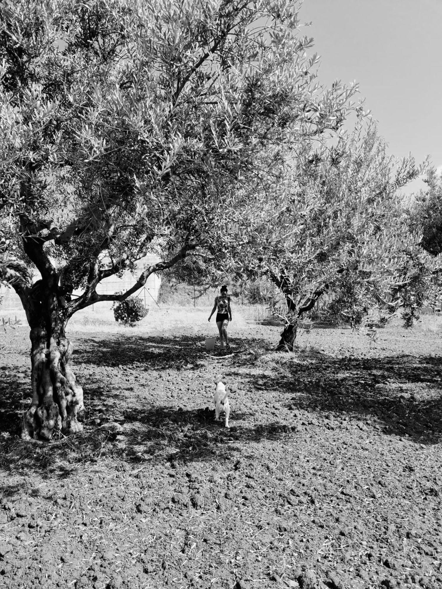 Villa Maria Teresa Capo Vaticano Buitenkant foto
